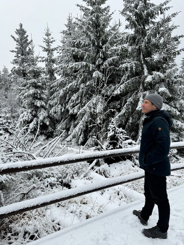 Bei winterlichen Bedingungen im Nationalpark Schwarzwald